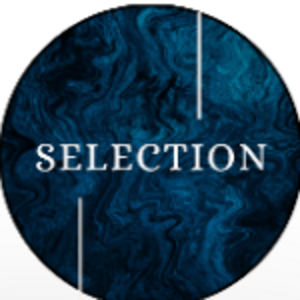 Selection highlight